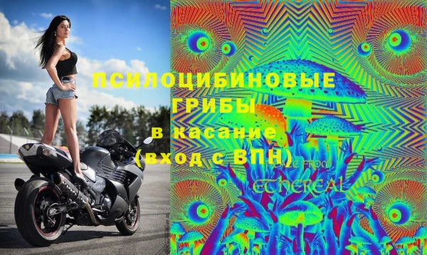 гидра Нефтекумск